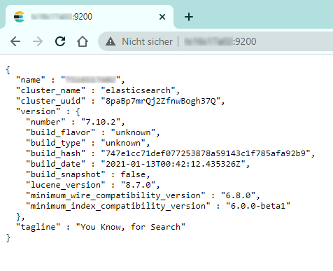 Chrome Elasticsearch You know for Search