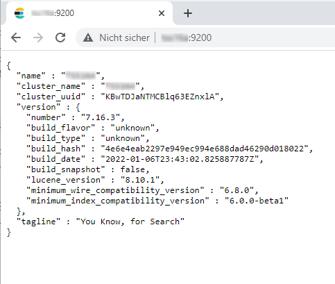 Chrome Elasticsearch You know for Search